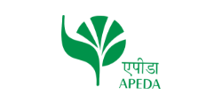 Apeda